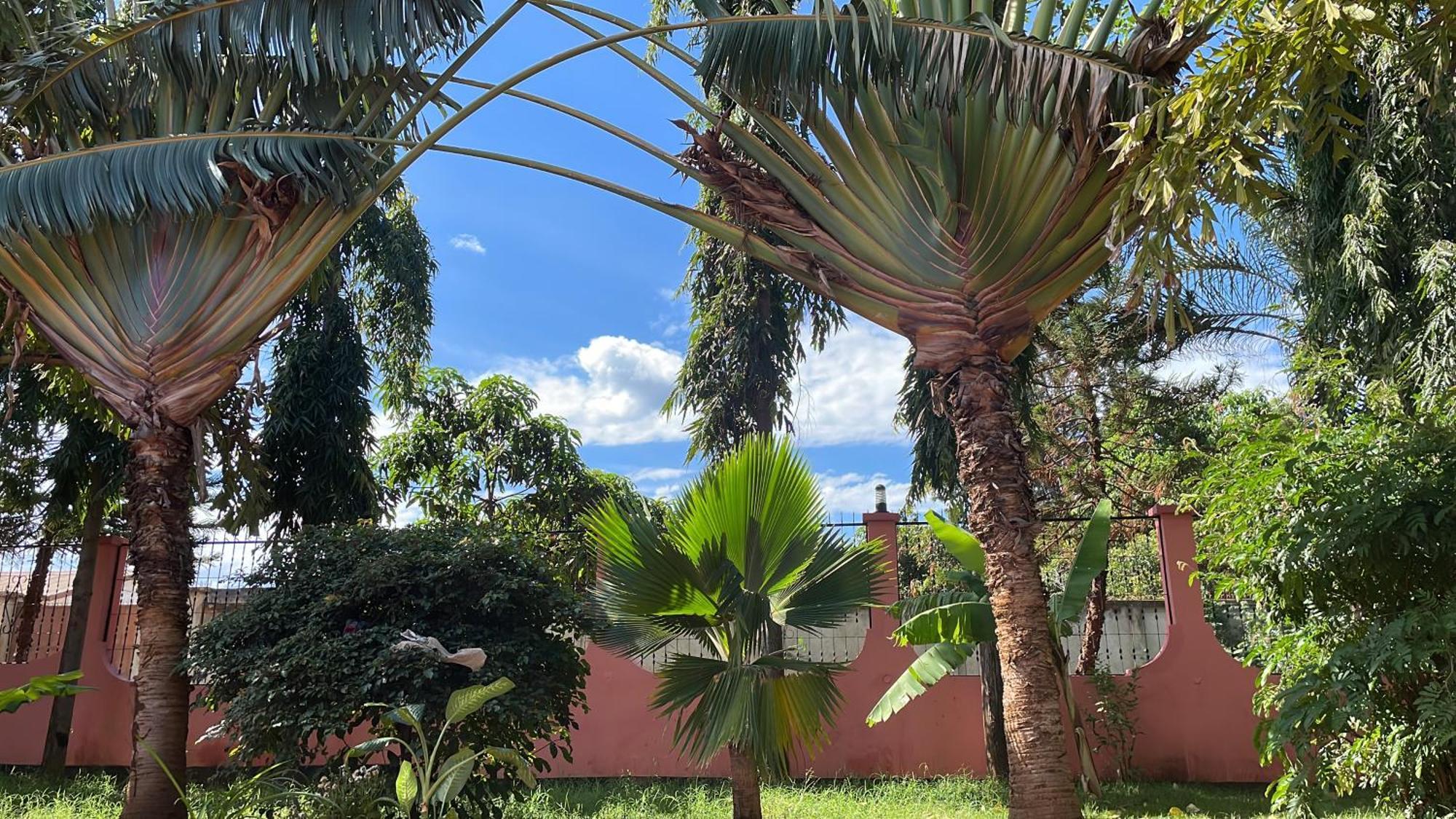 Bungalow X Garten & Terrasse X Wlan X Europaeisch Moshi Eksteriør billede